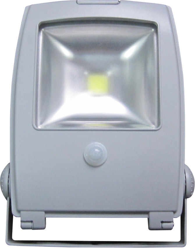 LFL516 Naświetlacz LED z czujnikiem